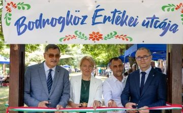 Hagyományos falunapok, falunapi hagyományok